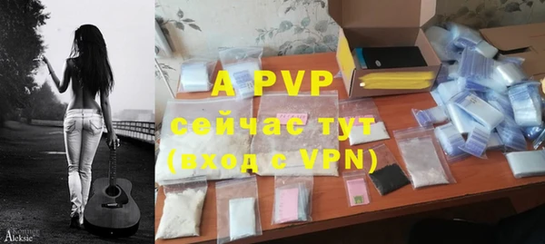 спайс Баксан