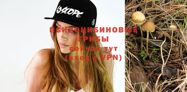 спайс Баксан