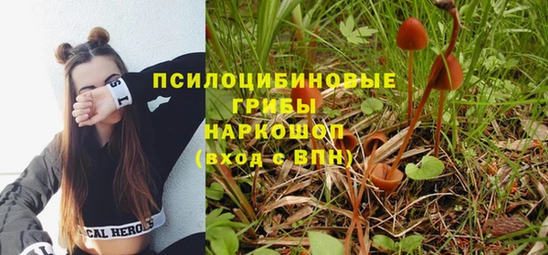 spice Балабаново